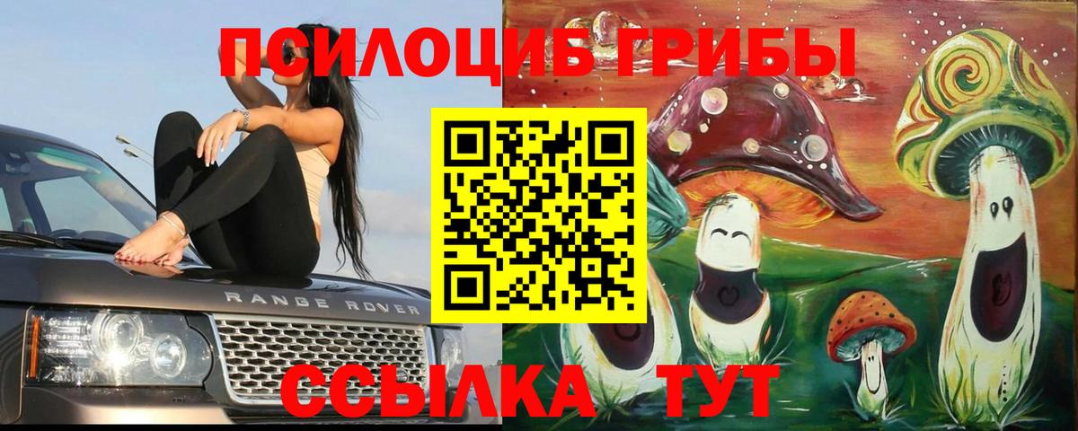 Галлюциногенные грибы прущие грибы  Соликамск 