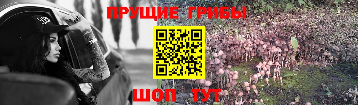 Галлюциногенные грибы Magic Shrooms Соликамск