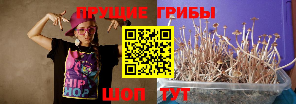 Псилоцибиновые грибы Magic Shrooms Соликамск