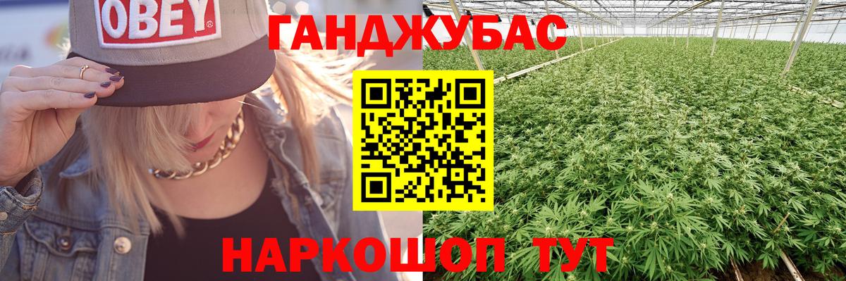 Каннабис планчик  Канабис конопля  Вход с VPN  Соликамск  Бошки марихуана тримм 